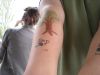 DSCN0730.JPG