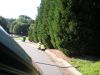 DSCN1027.JPG