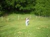 DSCN6034.JPG